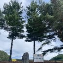 진부(오대산)관광농원 이미지