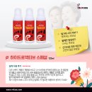 레푸스목포