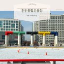 종합운동장야외 | 천안 가볼만한곳: 2026 겨울 필수 코스! 천안종합운동장 무료 야외스케이트장 완벽 정리 (주차/회차 정보)