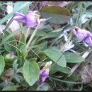 동희건설(주) Daum카페