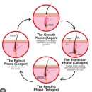 화서동물병원 이미지