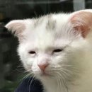 장어진심 이미지