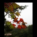 훼밀리아 이미지