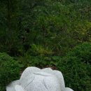 김삿갓면-33 이미지