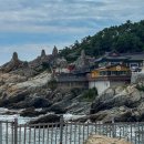 소망애견 | 부산 해동용궁사 반려견 동반 여행 | 애견 동반 공양미 소망초 후기