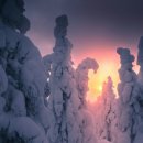 삼숭중학교 이미지