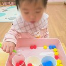 창원 자연숲 어린이집 | 사화동 어린이집 추천 자연 속에서 하루를 보내는 피닉스자연숲 어린이집