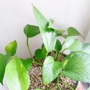 무럭무럭(주) 이미지