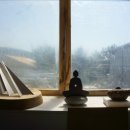 마을오리 이미지