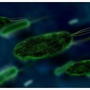 웰튼병원 이미지