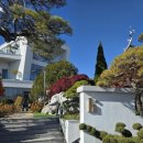 골드카페 | 내돈내산🤍_경기 화성 동탄 오산 베이커리 카페 홍종흔 베이커리 골드헤겔 맛집 후기!!