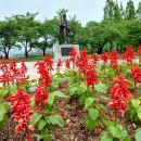 중앙메디칼보청기 이미지