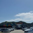 시청정문앞↔군포우체국뒤 | 김유정역 레일바이크 일요일 예약없이 탄 후기🚉 춘천 김유정마을 포토스팟까지📸