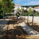 송림초등학교(병설) 이미지