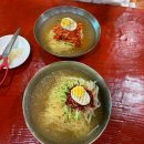 영일만숲실밀면 - 포항시 남구 철강로830번길 46 | 포항 오천 밀면맛집 영일만숲실밀면 본점 후기 및 영업시간 주차