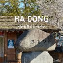 하동 화개장터 먹거리 즐기고 십리벚꽃길 드라이브하기 ( 주차장, CCTV )