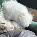 양평외갓집펜션 이미지