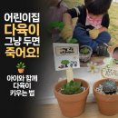 어린이집 다육이 분갈이 후기 (+초보 키우기 방법 / 물 주기 총정리)
