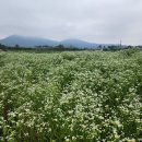 계천배수장 이미지