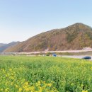 금암리 간이화장실 이미지