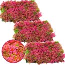 아쿠아테라 수족관 이미지