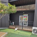 홍시 | 홍천 애견동반식당 홍시 후기