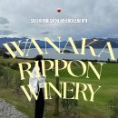 김셀러 - 수영구 | 뉴질랜드 신혼여행 Day 07. 와나카 리폰 와이너리 Rippon Winery 셀러 도어 테이스팅 후기
