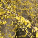 최 락 당 이미지