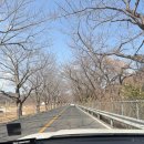 황산 캠핑장 | 황산캠핑장 13번 데크 후기 명당자리 추천, 비추전 자리, 꿀팁