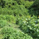 풀천지농장 이미지