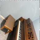 어린음악대음악학원 이미지