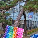 그린별어린이집 네이버블로그