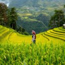 천지인(天.地.人) 이미지