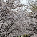 삼회리파라다이스 이미지