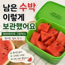 마이어 | 남은 수박 보관법｜데비마이어 그린박스에 담아본 실제 후기