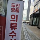 두리수선 이미지