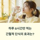 셀돔(CELL DORM) | 간헐적 단식 16:8, 과학적 효과와 실천 방법