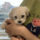 남부동물병원 이미지