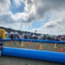 제주도새기식당 | 제주 10월 축제 2025 제주 도새기축제 일정 솔직 후기 아쉬운점 좋았던 점 새별오름 위치 주차꿀팁 셔틀...