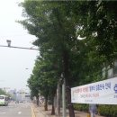 국민은행_앞_CCTV1 이미지