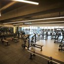 와일드 짐 이미지