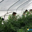 삼웅유통 뉴시스