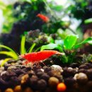 프로미카월드 이미지