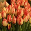 장생포로 이미지