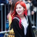 단풍머리