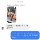 경상여중 내 | 53