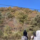 삼일목장 이미지