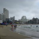 송도해수욕장 이미지