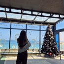 [타오름달] 여름맞이 가족여행 | 속초 봉포머구리집 , 자작도해수욕장 , 고성무끼