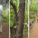 걷고 싶은 중구둘레길(제2코스) 이미지